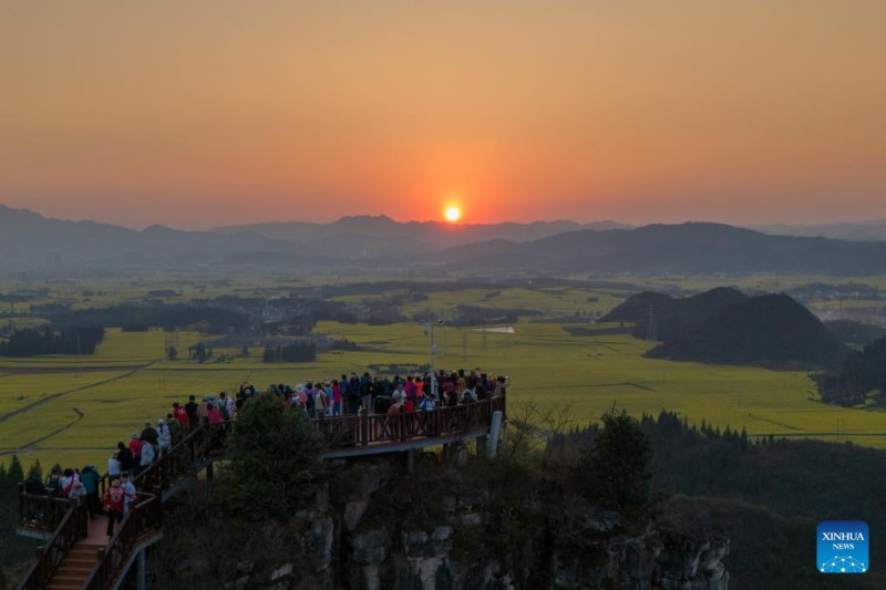 Απολα?στε τι? εικ?νε? απ? του? αγρο?? με την ανθισμ?νη ελαιοκρ?μβη στην Κομητε?α Λουοπ?νγκ
