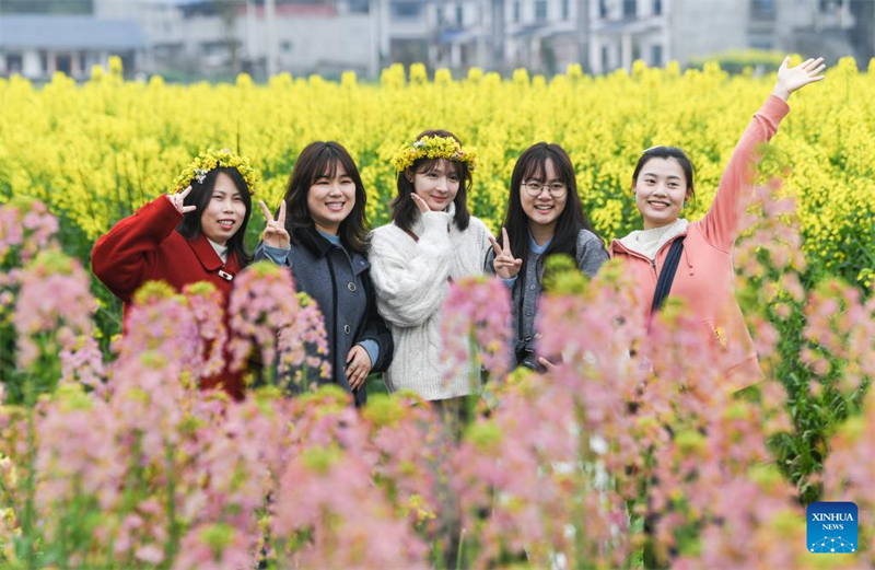 Παν?μορφο και ανθισμ?νο το γραφικ? Chongkan στην π?λη Τσονγκτσ?νγκ