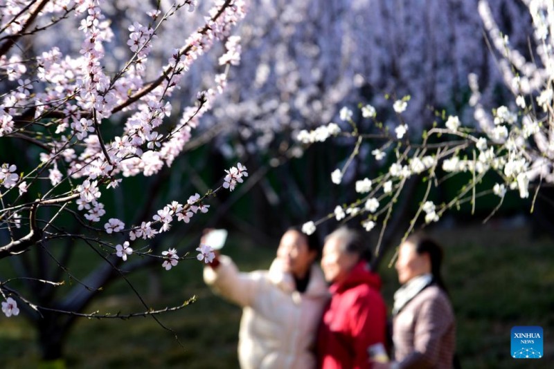 Ανοιξι?τικε? εικ?νε? απ? ?δι?φορε? περιοχ?? τη? Κ?να?