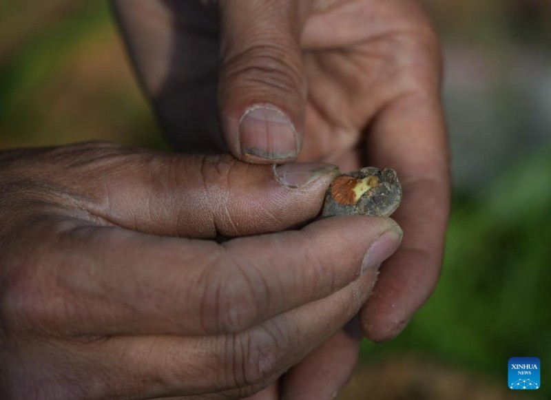 Ιστορ?α τη? Τζο?μα, τη? Κινεζικ?? π?λη? τη? καμ?λια? μ?σα απ? τα μ?τια εν?? παραγωγο?