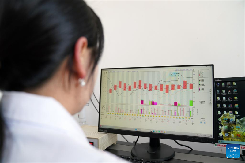 Σε πλ?ρη εξ?λιξη οι γεωργικ?? δραστηρι?τητε? στη Χε?λονγκτζι?νγκ