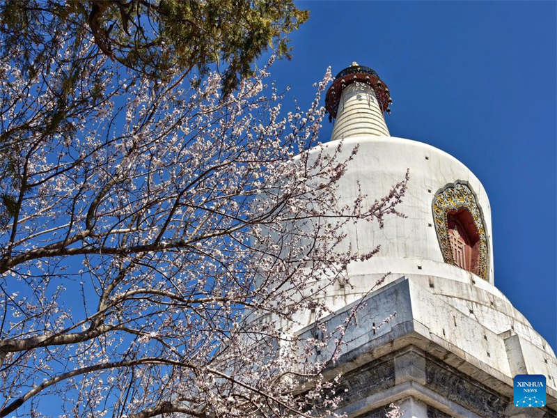 Γιορτ?στηκε η Ισημερ?α τη? ?νοιξη? (Chunfen) σε ?λη την Κ?να