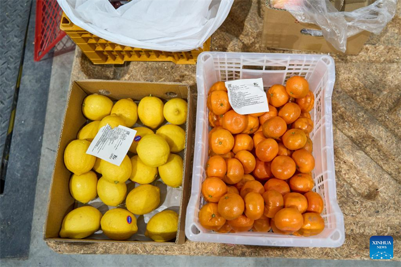 Τον?νεται η διασυνοριακ? Σινο-Ρωσικ? οικονομικ? δραστηρι?τητα