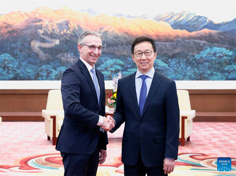 Ο Αντιπρ?εδρο? τη? Κ?να?, Χαν Ζενγκ, συναντ? τον Ρ?ι Γιακ?μπ?, Διευθ?νοντα Σ?μβουλο τη? Royal Philips, στο Πεκ?νο, πρωτε?ουσα τη? Κ?να?, 1 Απριλ?ου 2025. (Φωτογραφ?α / Xinhua)