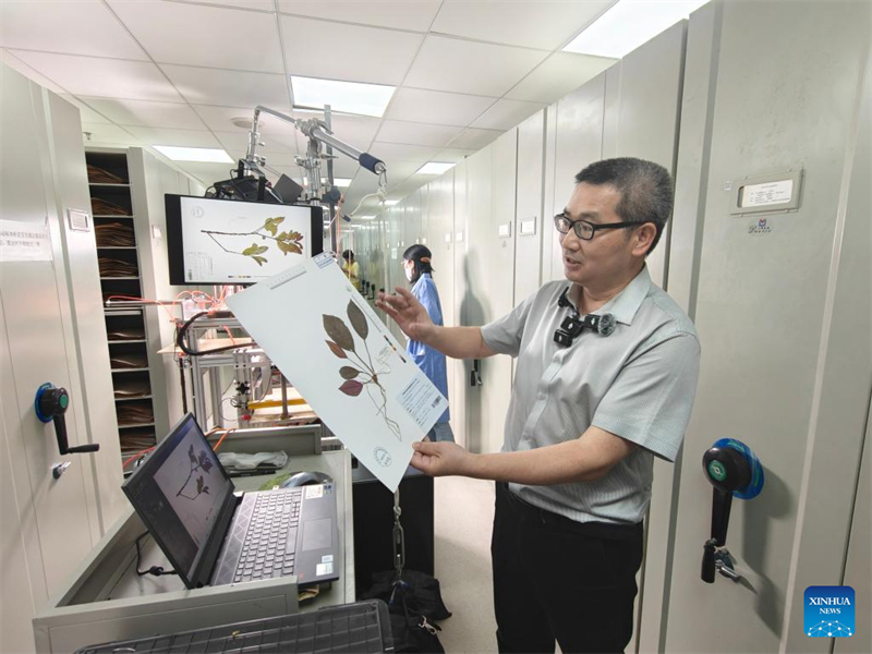 Ο Λο Σισι?ο, επιμελητ?? του φυτολογ?ου του Βοτανικο? Κ?που τη? Ν?τια? Κ?να?, παρουσι?ζει το ?ξυπνο σ?στημα διαχε?ριση? δειγμ?των, Γκουανγκζο?, 10 Απριλ?ου 2025. (Φωτογραφ?α / Xinhua)