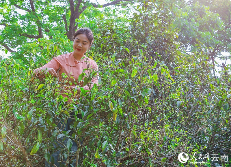 (Φωτογραφ?α / Λα?κ? Καθημεριν? Online)