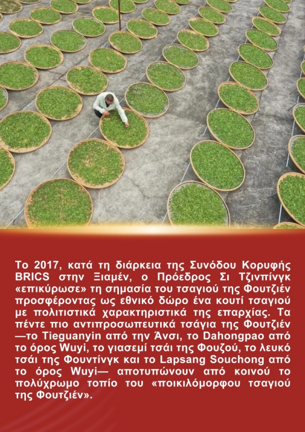 Η Ιστορ?α του Προ?δρου Σι Τζινπ?νγκ και του Τσαγιο? τη? Φουτζι?ν