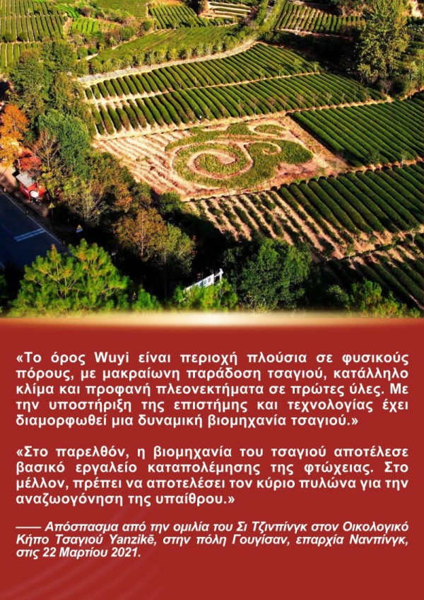 Η Ιστορ?α του Προ?δρου Σι Τζινπ?νγκ και του Τσαγιο? τη? Φουτζι?ν