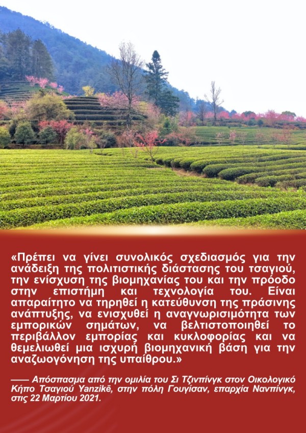 Η Ιστορ?α του Προ?δρου Σι Τζινπ?νγκ και του Τσαγιο? τη? Φουτζι?ν