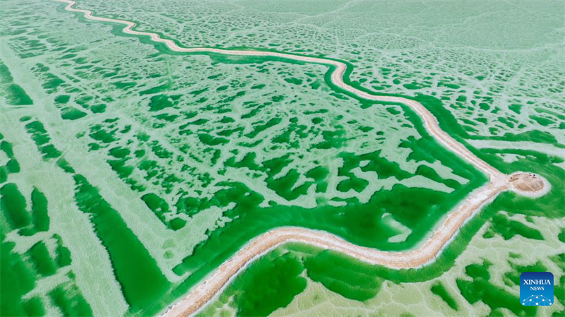 Εντυπωσιακ?? ενα?ριε? λ?ψει? απ? την Λ?μνη Τζ?ιντ στη Βορειοδυτικ? Κ?να