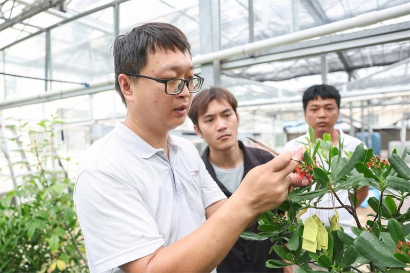 Απειλο?μενο φυτ? ανακ?μπτει χ?ρη στην επαγγελματικ? προστασ?α στη Χα?ν?ν τη? ν?τια? Κ?να?