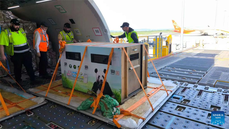 Δ?ο γιγαντια?α π?ντα απ? την Κ?να ?φτασαν στο αεροδρ?μιο τη? Βι?ννη? στην Αυστρ?α