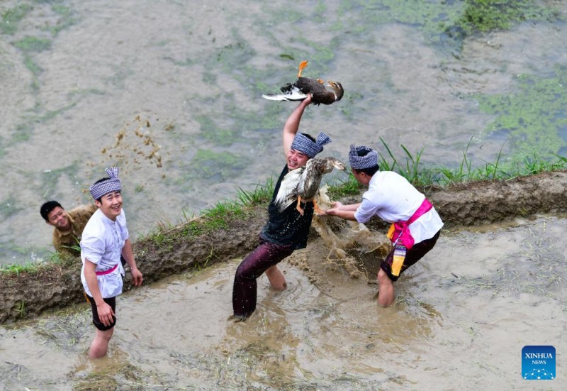 Χωρικο? συμμετ?χουν σε δραστηρι?τητα κυνηγιο? π?πια? στο πλα?σιο πολιτιστικ?? εκδ?λωση? που διεξ?χθη σε αναβαθμισμ?να χωρ?φια στην Κομητε?α Κονγκτζι?νγκ, στην επαρχ?α Γκου?τζο? τη? νοτιοδυτικ?? Κ?να?, στι? 26 Απριλ?ου 2025.