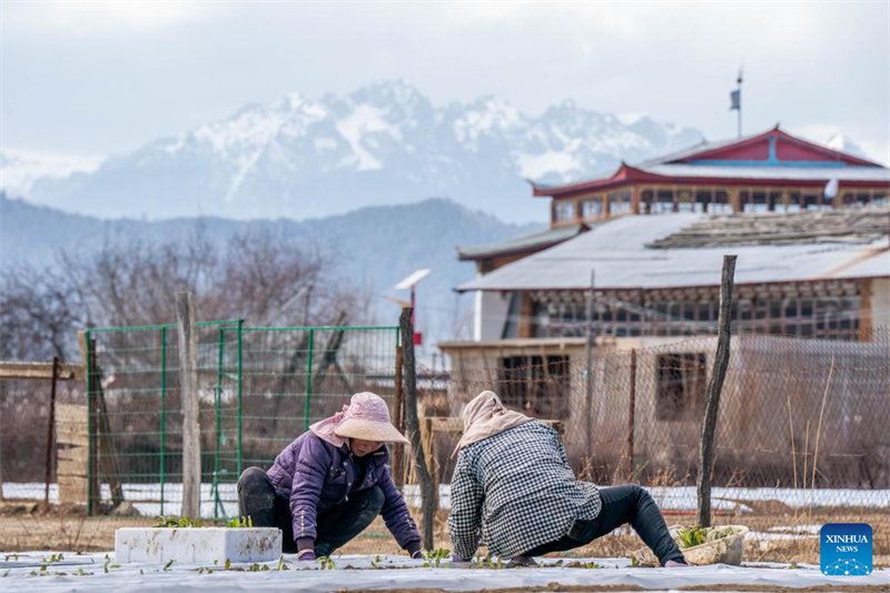 Το τοπ?ο τη? Σιανγκρι-Λα στην επαρχ?α Γιουν?ν τη? Κ?να?