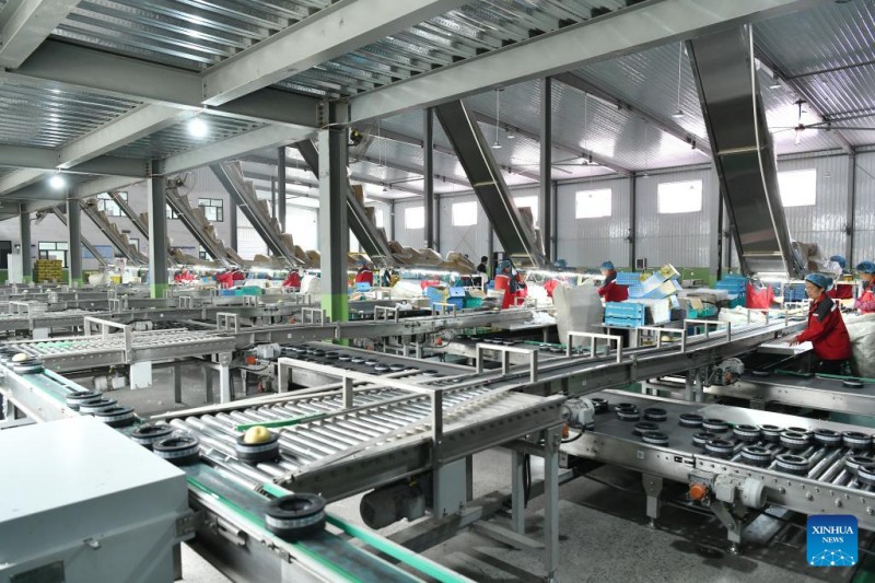 Η Κ?να, μ?σω τη? Χεμπ?ι εξ?γει φρ?σκα αχλ?δια για πρ?τη φορ? σε χ?ρα τη? Ν?τια? Αμερικ??