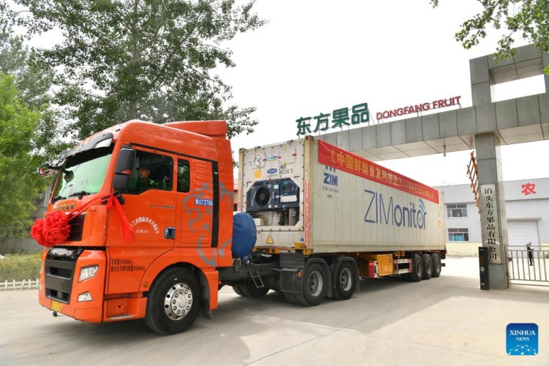 Η Κ?να, μ?σω τη? Χεμπ?ι εξ?γει φρ?σκα αχλ?δια για πρ?τη φορ? σε χ?ρα τη? Ν?τια? Αμερικ??