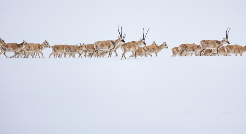 Η π?λη Ναγκτσο? τη? Σιττζ?νγκ προωθε? τον αστικ? καλλωπισμ? στη ?στ?γη του κ?σμου?
