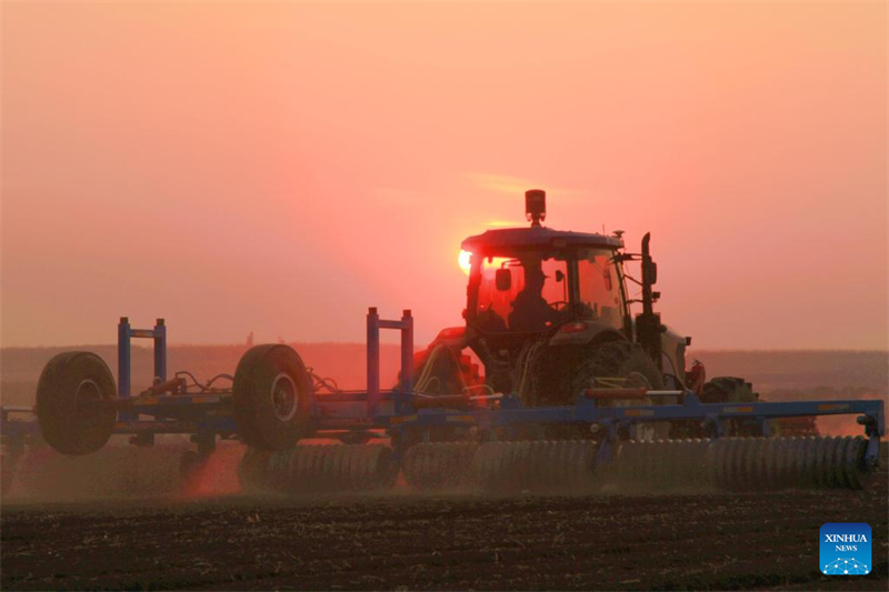 Η ανοιξι?τικη σπορ? στι? καλλιεργ?σιμε? περιοχ?? τη? Χε?λονγκτζι?νγκ σε πλ?ρη εξ?λιξη