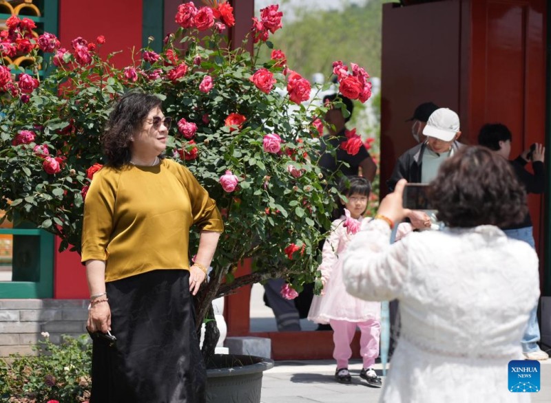 Ξεκ?νησε το 9ο Διεθν?? Συμποσ?ου για την ?ρευνα και Καλλι?ργεια Τριαντ?φυλλου στο Πεκ?νο