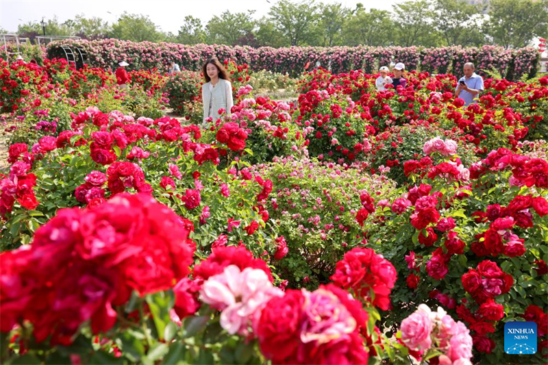 Ημ?ρα Τουρισμο? σε ?λη την Κ?να