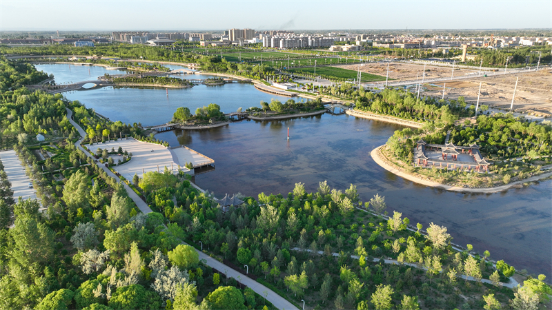 Γκανσο?: Μετατρ?ποντα? την ?ρημο γκ?μπι σε ?αση, δημιουργ?ντα? μια ν?α οικολογικ? εικ?να