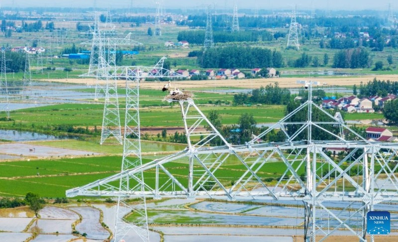 Αναβολ? κατασκευ?? για την προστασ?α των λευκ?ν πελαργ?ν στην περιοχ? Ανχου?ι?τη? Κ?να?