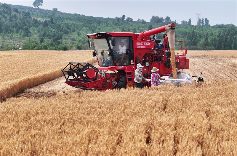 (Φωτογραφ?α / Λα?κ? Καθημεριν? Online)