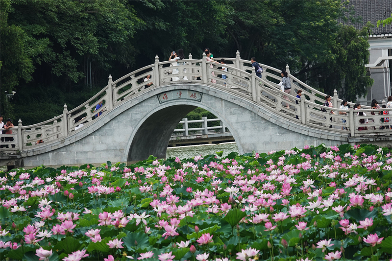 (Φωτογραφ?α / Λα?κ? Καθημεριν? Online)