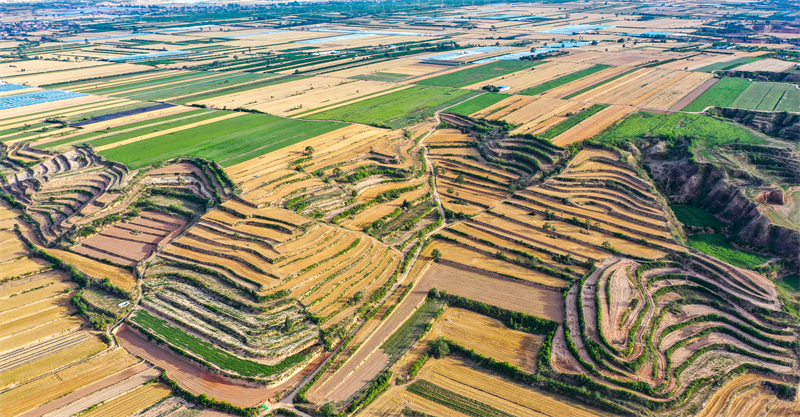 (Φωτογραφ?α / Λα?κ? Καθημεριν? Online)