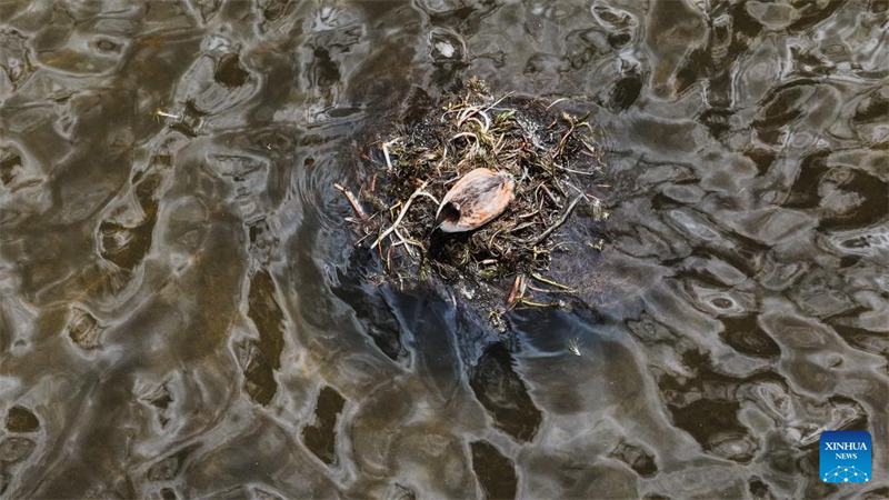 Τοπ?ο του Εθνικο? Φυσικο? Καταφυγ?ου Τσινγκχ?ι Λονγκμπ?ο