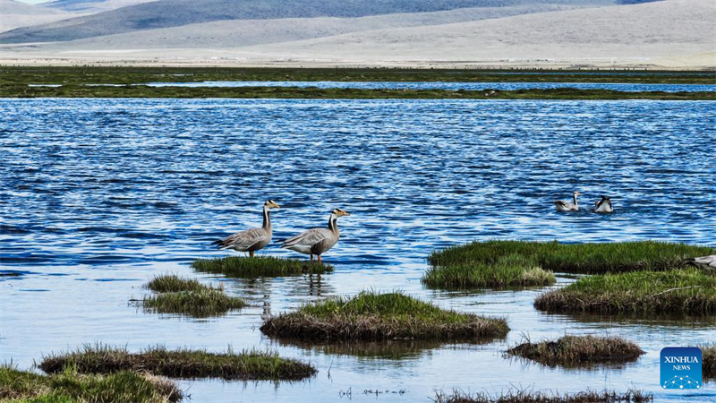 Τοπ?ο του Εθνικο? Φυσικο? Καταφυγ?ου Τσινγκχ?ι Λονγκμπ?ο