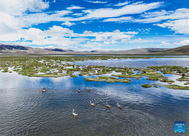 Τοπ?ο του Εθνικο? Φυσικο? Καταφυγ?ου Τσινγκχ?ι Λονγκμπ?ο