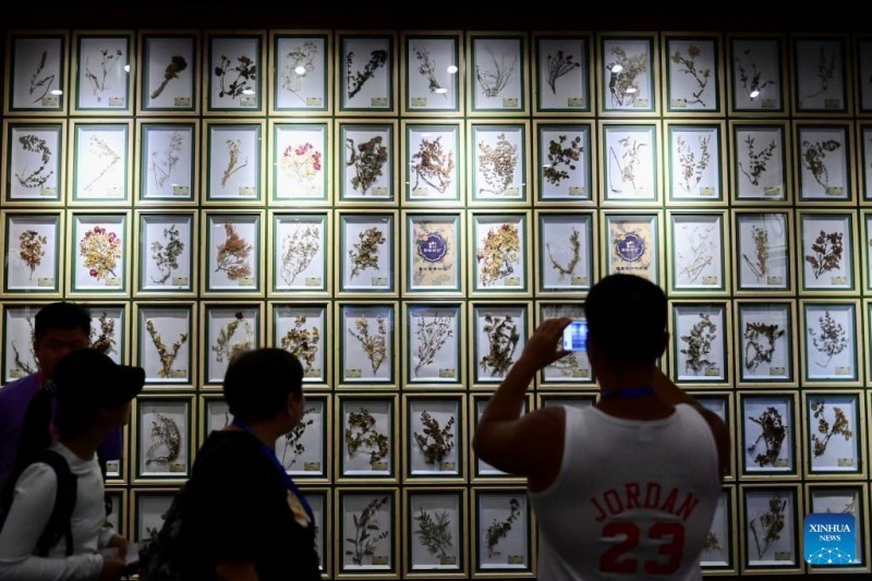 Το φεστιβ?λ τουρισμο? τη? λεβ?ντα? προωθε? την οικονομικ? αν?πτυξη στην επαρχ?α?Σιντζ?ανγκ?τη? Κ?να?