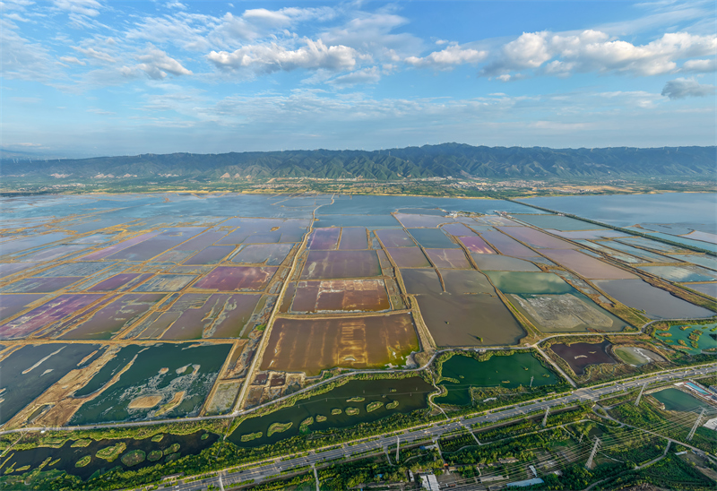 Επαρχ?α Σανσ?: Η οικολογικ? ομορφι? τη? αλμυρ? λ?μνη? ε?ναι σαν ζωγραφι?