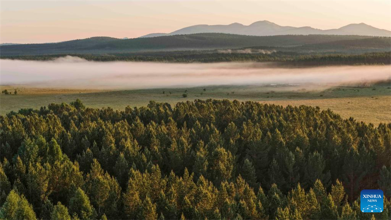Τοπ?ο του Εθνικο? Δασικο? Π?ρκου Σα?χανμπ? στην π?λη Τσενγκντ?