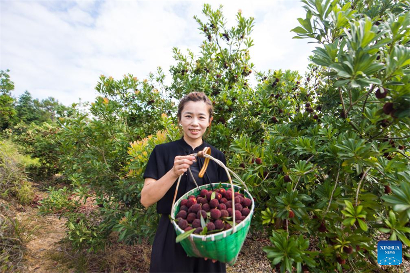 Η επαρχ?α Τζετζι?νγκ εξ?γει φρ?σκα κηρ?δη μο?ρα Ντονγκου?ι στη Γερμαν?α