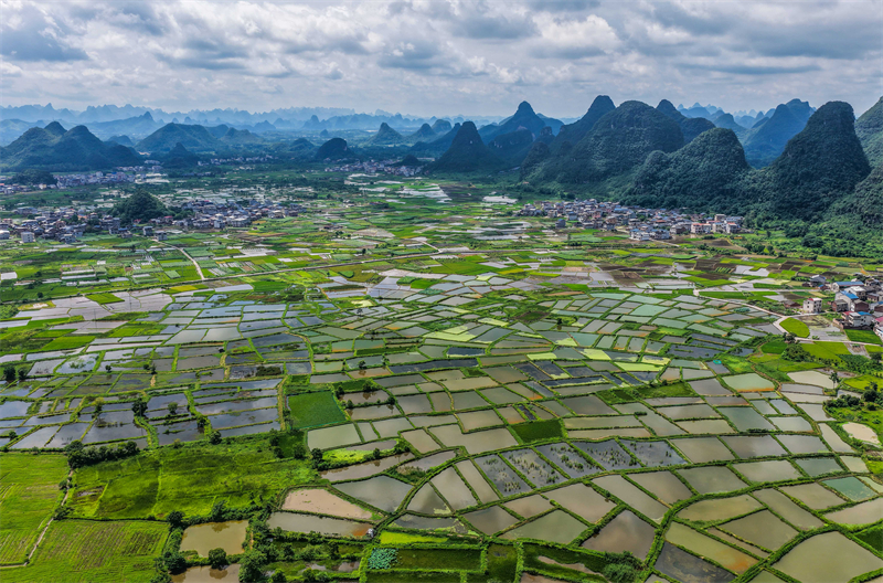 (Φωτογραφ?α / Λα?κ? Καθημεριν? Online)