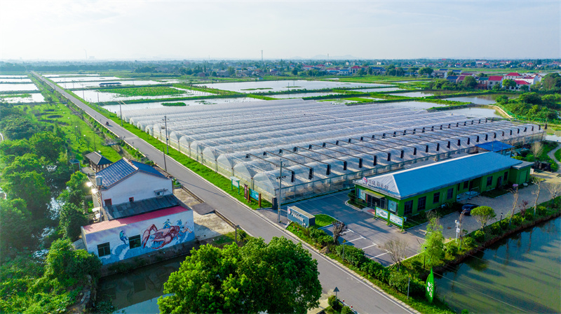 (Φωτογραφ?α / Λα?κ? Καθημεριν? Online)