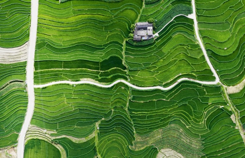 Οι αναβαθμ?δε? στι? ?χθε? του ποταμο? Λαντσ?νγκ?ε?ναι ?μορφε? σαν π?νακα? ζωγραφικ??