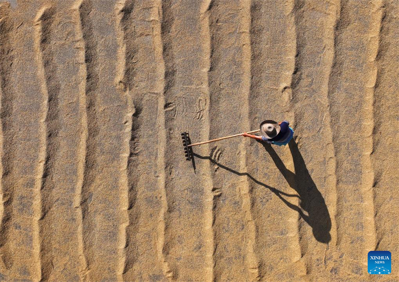 Κιν?ζοι χωρικο? απασχολο?νται με αγροτικ?? εργασ?ε?