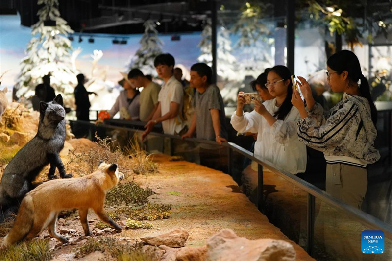 Το μουσε?ο του Απολιθωματοφ?ρου Χ?ρου τη? κομητε?α? Τσενγκτζι?νγκ καταγρ?φει α?ξηση των επισκ?ψεων κατ? τη δι?ρκεια των θεριν?ν διακοπ?ν