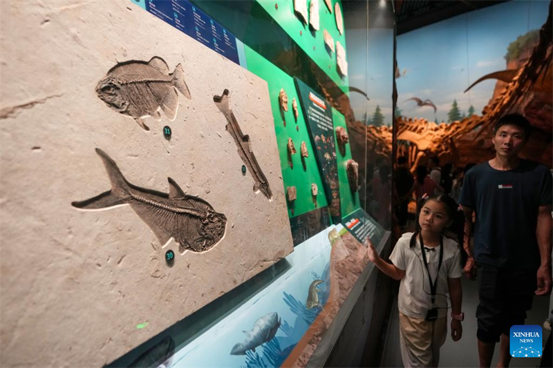 Το μουσε?ο του Απολιθωματοφ?ρου Χ?ρου τη? κομητε?α? Τσενγκτζι?νγκ καταγρ?φει α?ξηση των επισκ?ψεων κατ? τη δι?ρκεια των θεριν?ν διακοπ?ν