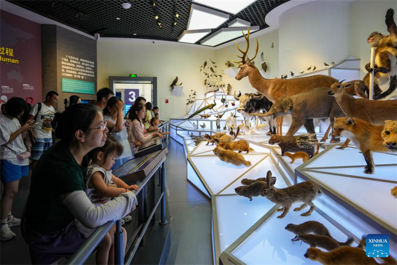 Το μουσε?ο του Απολιθωματοφ?ρου Χ?ρου τη? κομητε?α? Τσενγκτζι?νγκ καταγρ?φει α?ξηση των επισκ?ψεων κατ? τη δι?ρκεια των θεριν?ν διακοπ?ν