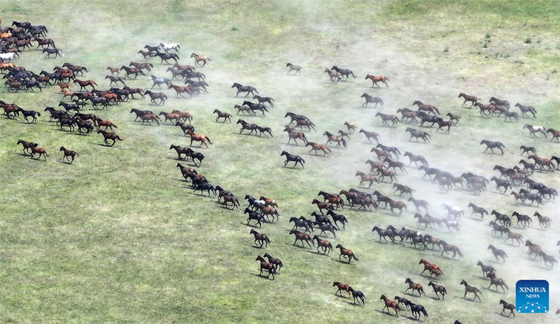 Παραστ?σει? και ιππικ? επ?δειξη πραγματοποιο?νται κατ? τη δι?ρκεια του φεστιβ?λ τουρισμο? στην επαρχ?α Σιντζι?νγκ