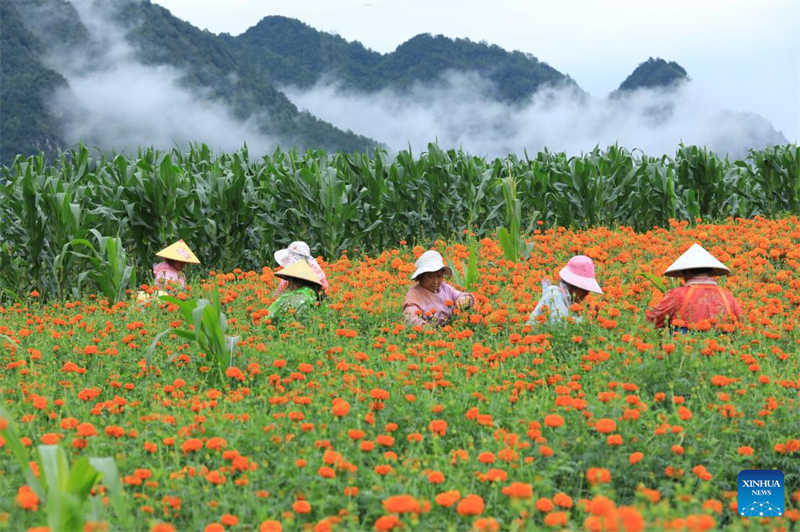 Οι αγρ?τε? σε ?λη την Κ?να ασχολο?νται με τη γεωργικ? παραγωγ? κατ? την αγροτικ? περ?οδο