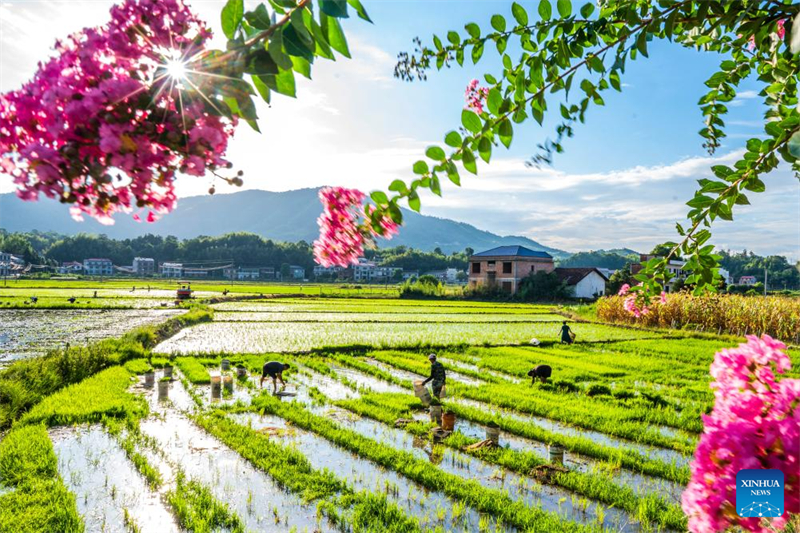 Οι αγρ?τε? σε ?λη την Κ?να ασχολο?νται με τη γεωργικ? παραγωγ? κατ? την αγροτικ? περ?οδο