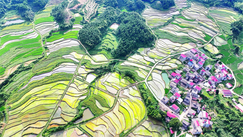 Επαρχ?α Τζιανγκσ?: Πολ?χρωμα πεζο?λια ε?ναι ?να θ?αμα που πρ?πει να δει?