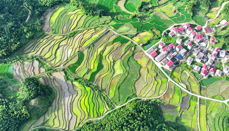 Επαρχ?α Τζιανγκσ?: Πολ?χρωμα πεζο?λια ε?ναι ?να θ?αμα που πρ?πει να δει?