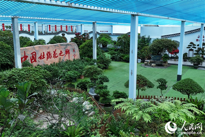 (Φωτογραφ?α / Λα?κ? Καθημεριν? Online)