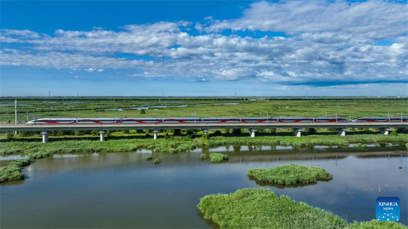 Αυτ? η φωτογραφ?α που τραβ?χτηκε στι? 17 Αυγο?στου του 2025 δε?χνει ?να τρ?νο υψηλ?? ταχ?τητα? να κινε?ται κατ? μ?κο? του σιδηροδρ?μου Χαρμπ?ν-Κιτσ?χαρ. (Φωτογραφ?α / Xinhua)